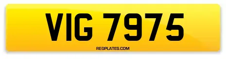 VIG 7975