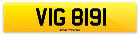 VIG 8191