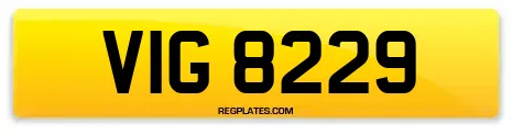 VIG 8229
