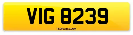 VIG 8239