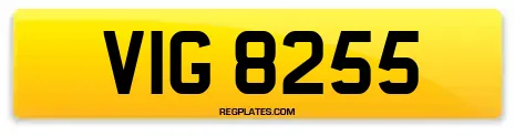 VIG 8255