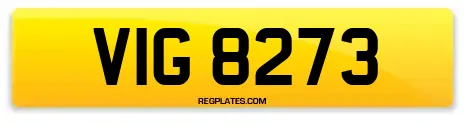 VIG 8273