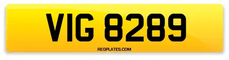 VIG 8289