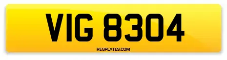 VIG 8304