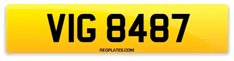 VIG 8487