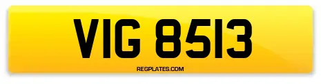 VIG 8513