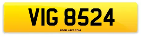 VIG 8524