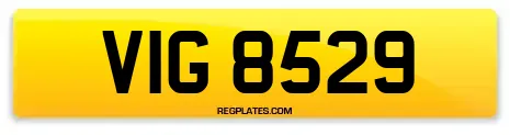 VIG 8529