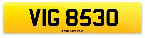 VIG 8530
