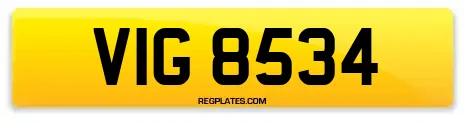 VIG 8534