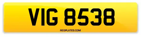 VIG 8538