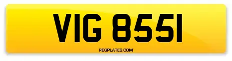 VIG 8551