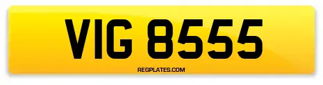 VIG 8555
