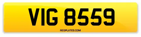 VIG 8559