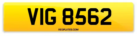 VIG 8562