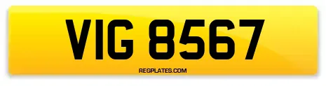 VIG 8567