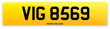 VIG 8569
