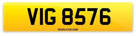 VIG 8576