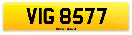 VIG 8577