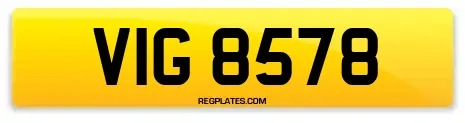 VIG 8578