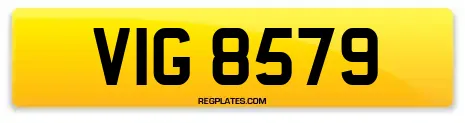 VIG 8579