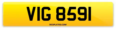 VIG 8591