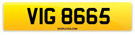 VIG 8665