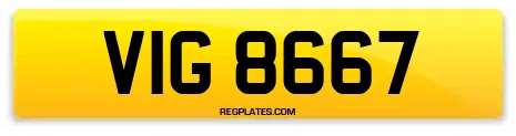 VIG 8667