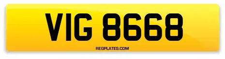 VIG 8668