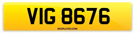 VIG 8676