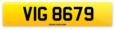 VIG 8679