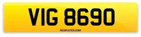 VIG 8690