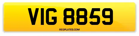 VIG 8859