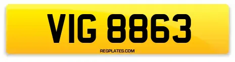 VIG 8863