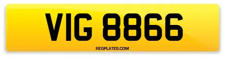 VIG 8866