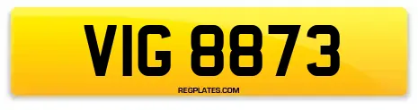 VIG 8873