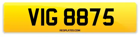 VIG 8875