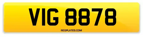 VIG 8878