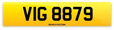 VIG 8879