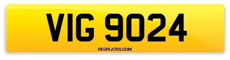 VIG 9024