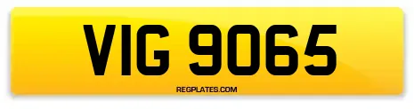 VIG 9065