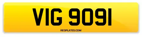 VIG 9091