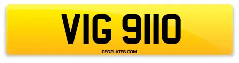 VIG 9110