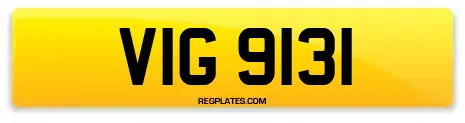VIG 9131