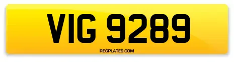 VIG 9289
