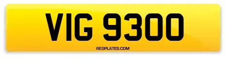 VIG 9300