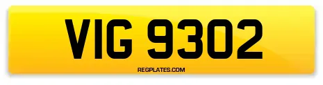 VIG 9302