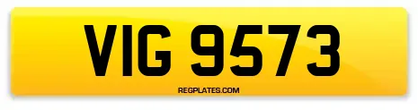 VIG 9573