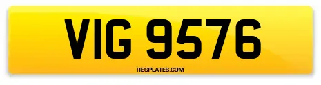 VIG 9576