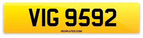 VIG 9592